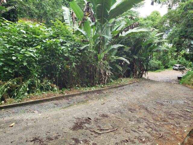 #TE202501 - Área para Venda em Paraty - RJ