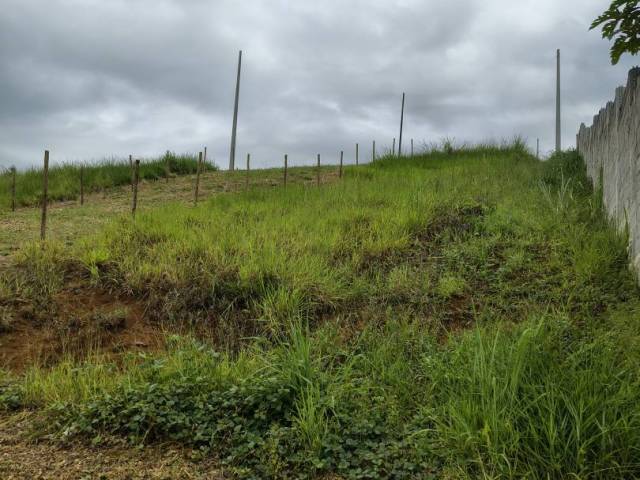 #TE202602 - Área para Venda em Paraty - RJ